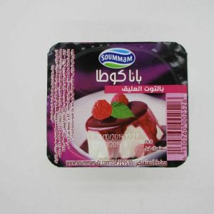 Soummam Pot de Crème caramel 90g