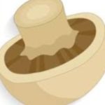 Champignon /Mais /Moutarde